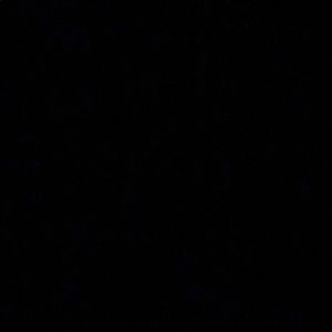 Meet your Posher, Alexa